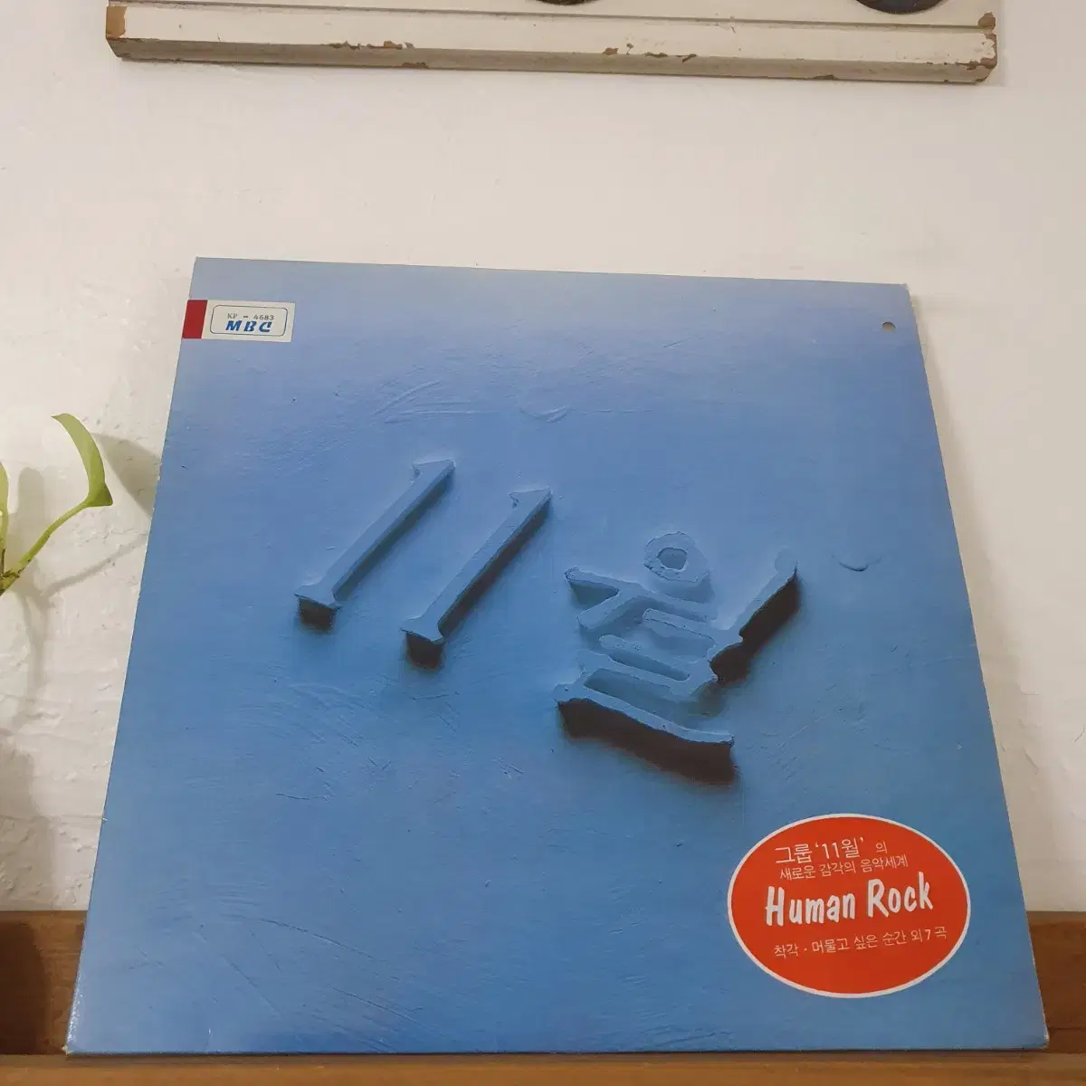 11월 LP  1990  (한국대중음악100대명반)